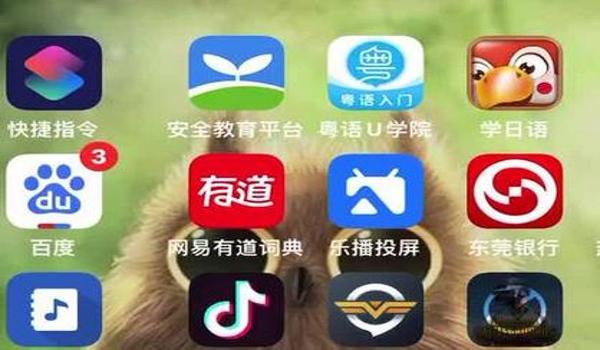 网吧怎么玩绝地求生端游（在网吧玩绝地求生时，如何使用迅游加速工具优化网络？）
