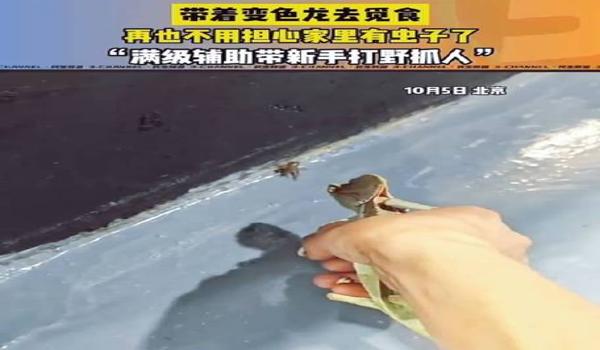 绝地求生变色龙辅助怎么用