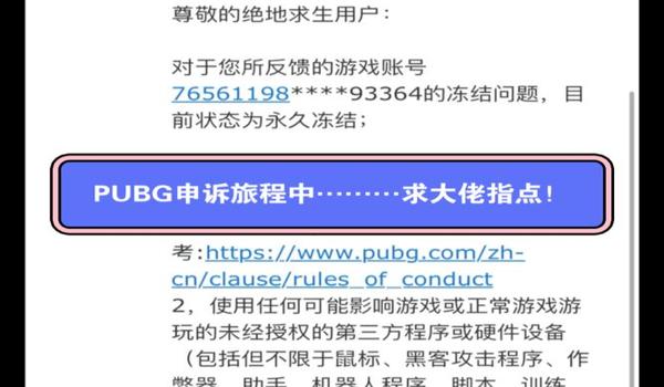 绝地求生没开挂怎么会封