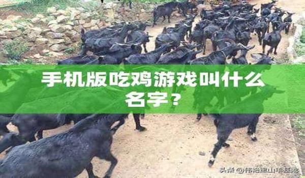 pubg免费版叫什么（pubg免费版的正式名称是什么？）