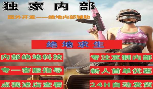 新绝地求生辅助怎么用（如何设置新绝地求生辅助中的自瞄功能以提高击杀率？）